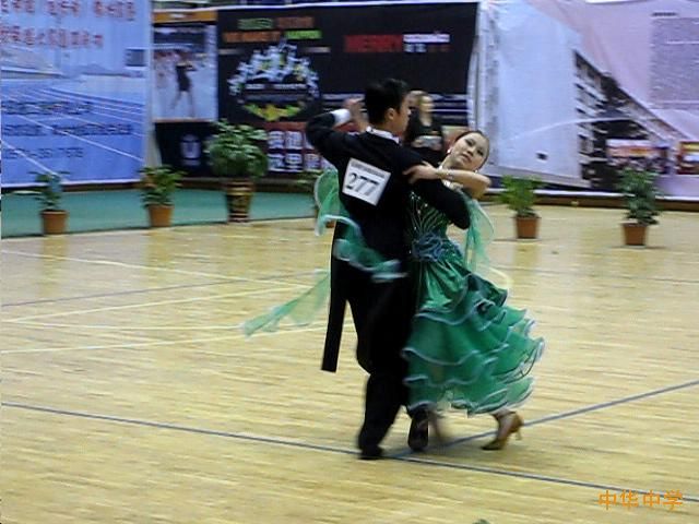 热烈祝贺我校体育舞蹈队在第五届中国学生体育舞蹈锦标赛中喜获最佳团队奖