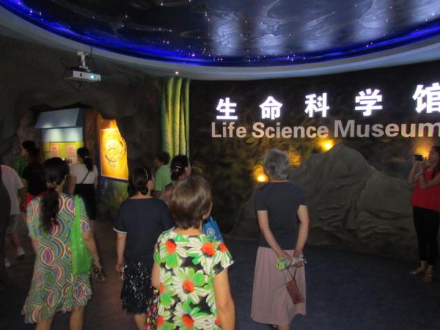 点击查看原图
