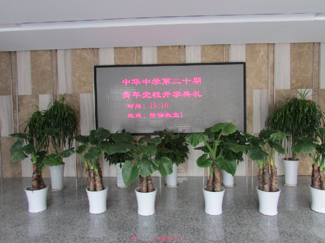 点击查看原图