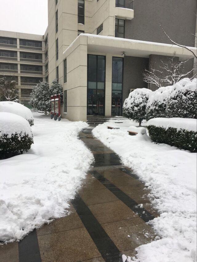 孩子们出行不怕啦 孩子们出行不怕啦
