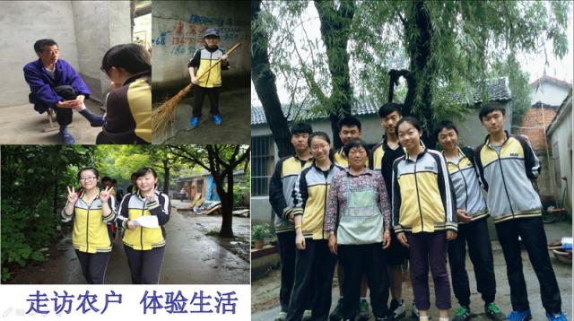 点击查看原图