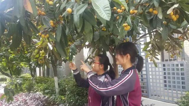 点击查看原图