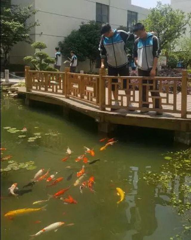点击查看原图