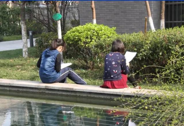 点击查看原图