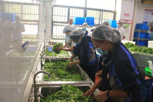 亲自体验洗菜过程