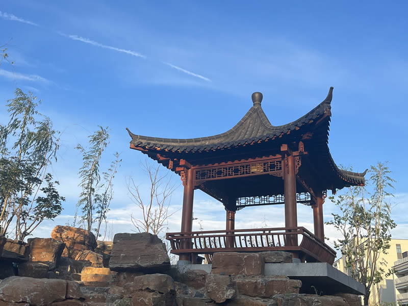 校园风景